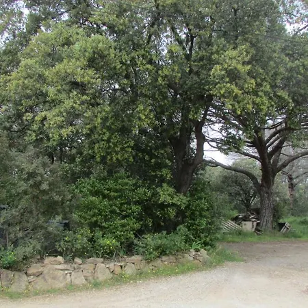 Saint Roch * Roquebrune-sur-Argens